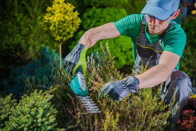 landscaping services Heuvelton